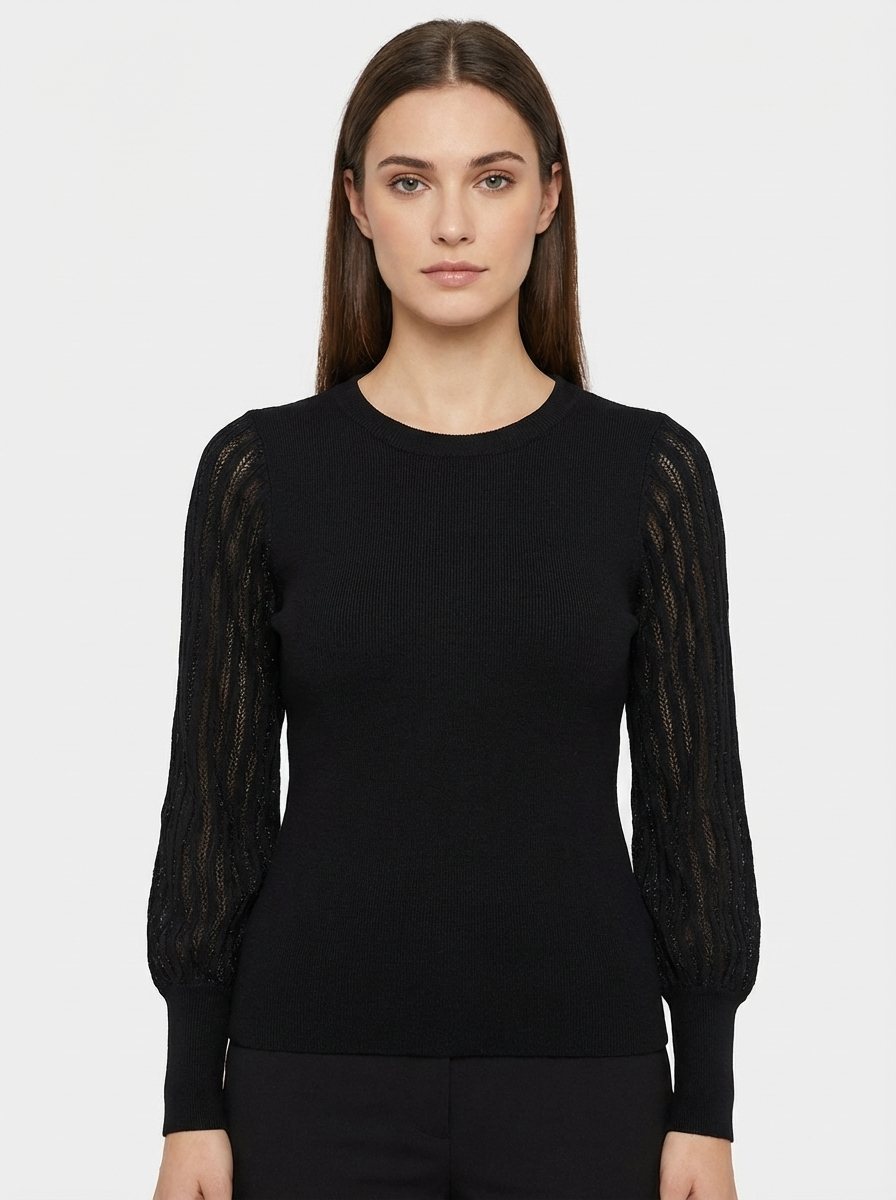 Sheer Sleeve Knit Top