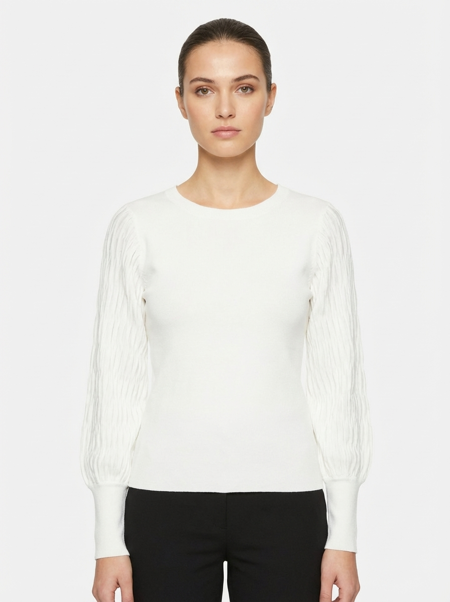 Sheer Sleeve Knit Top